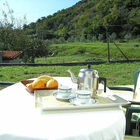 Apartments Rajkovic Labin  Room photo