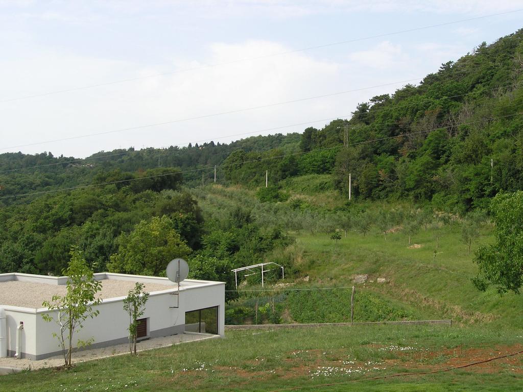 Rajkovic Apartment Labin (Istria)