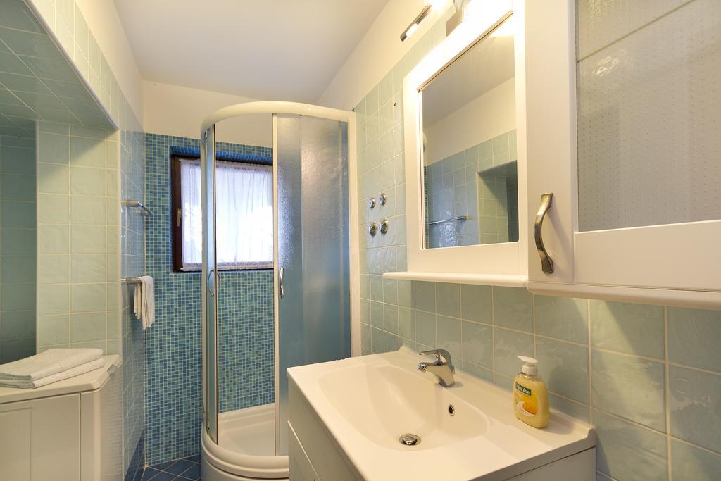 Rajkovic Apartment Labin (Istria)