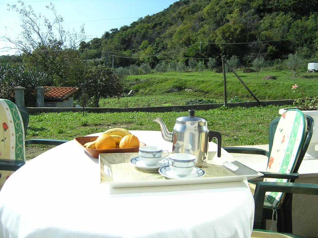 Apartment Rajkovic Labin (Istria)