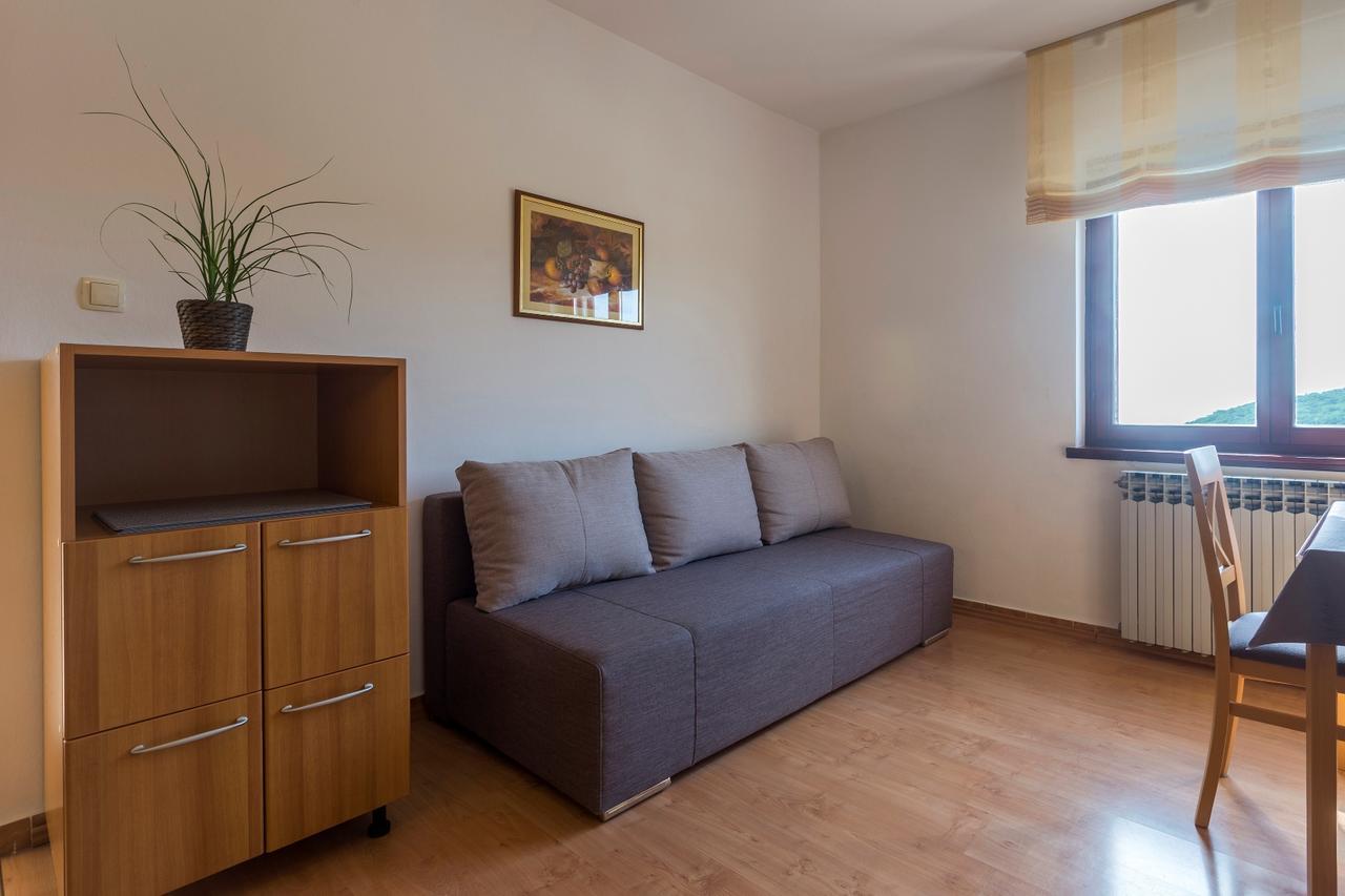 Apartment Rajkovic Labin (Istria)